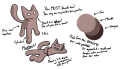 The reference sheet for Marcus, a pinkish-beige quadrupedal cag with blank white eyes. Note that he must be shaded via any means.