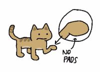 George stands with one of his paws turned upside down, revealing the bottom. He appears dissatisfied by it. A close-up reveals the paw has no paw pads, unlike Earth house cats.