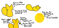 The reference sheet for Miguel, a gold-colored monopedal cag with floating detachable eyes that are offset forwards from his head. His hands, when present, also float Rayman-style.