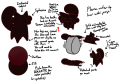 The reference sheet for Glass, an infrared-colored quadrupedal cag with cone-like legs and a body with the texture of wet silty loam.