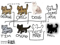 A network of the eight characters currently existing when this image was made.